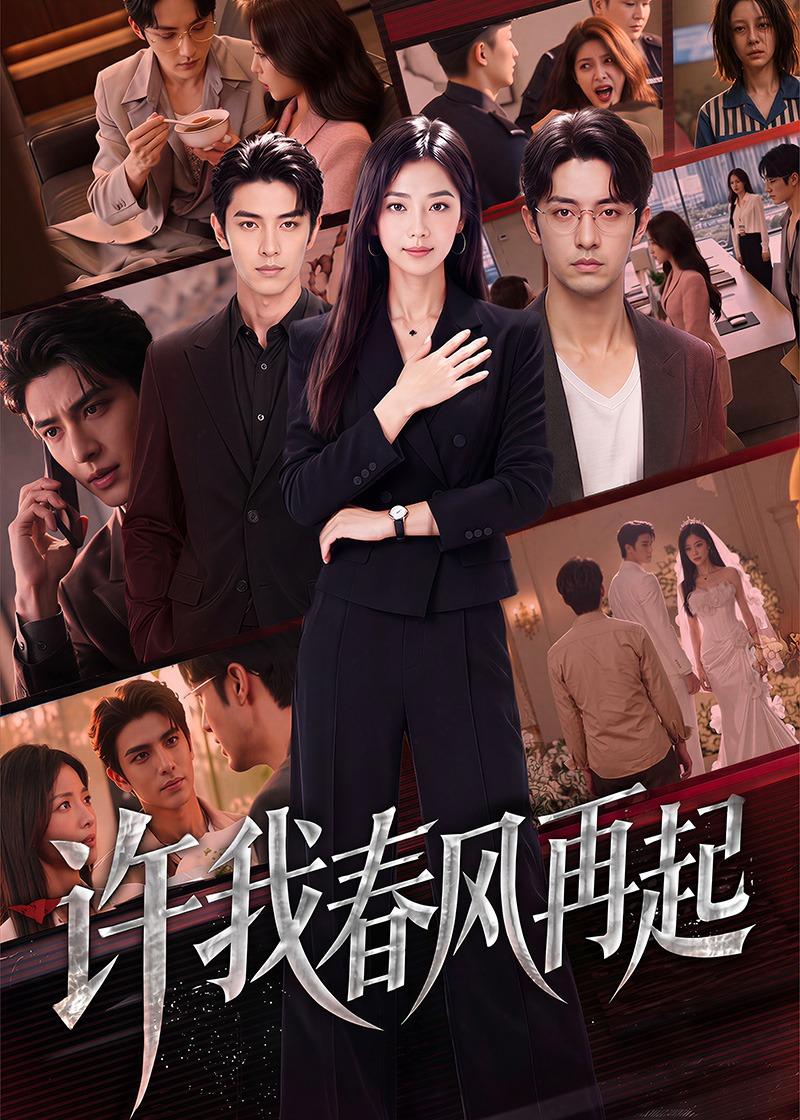 许我春风再起(全集)