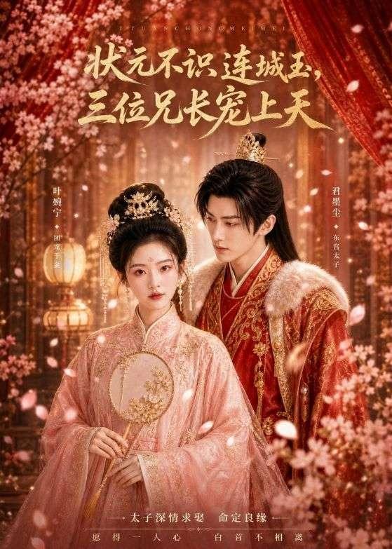 状元不识连城玉，三位兄长宠上天(全集)