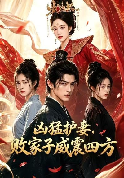 凶猛护妻，败家子威震四方(全集)