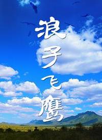 浪子飞鹰第01集