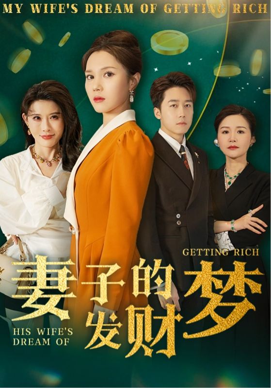 妻子的发财梦第01-30集