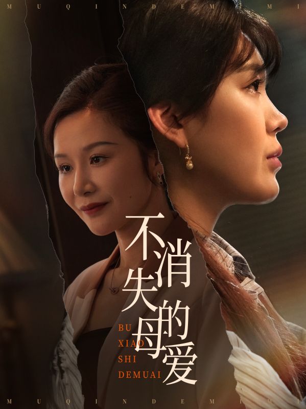 不消失的母爱第01-30集