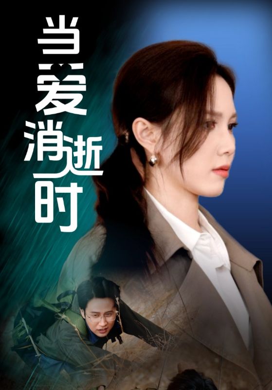 当爱消逝时第01-30集