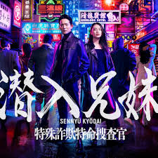 潜入兄妹 特殊诈欺特命搜查官第01集