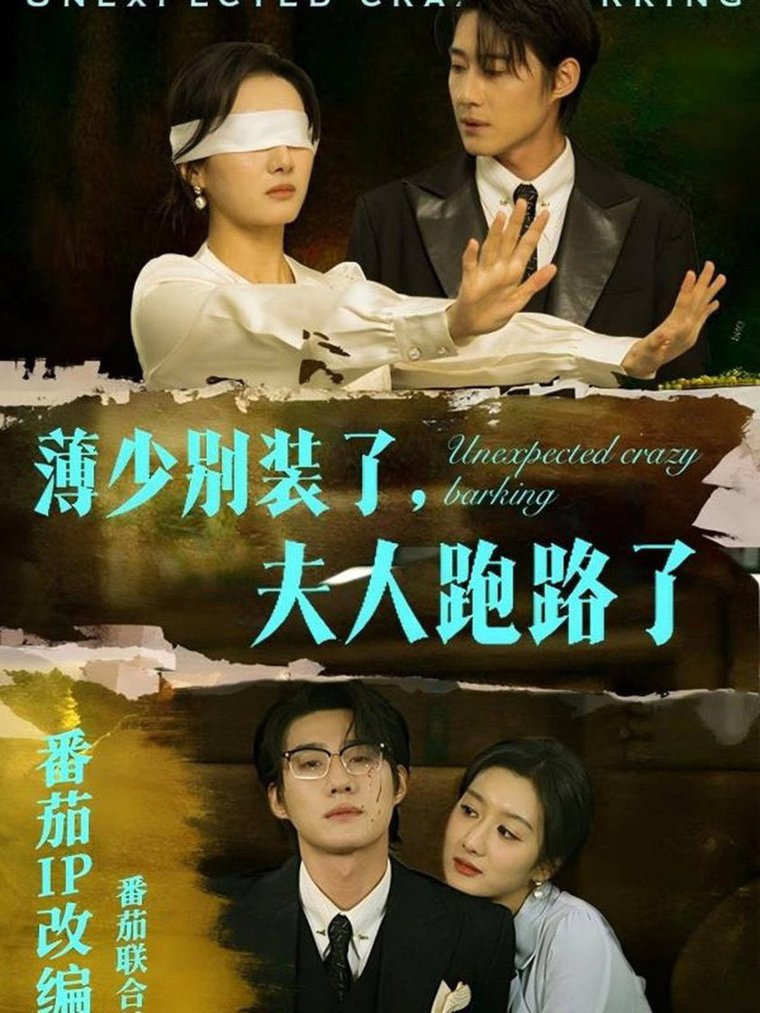 薄少别装了夫人跑路了第01-30集