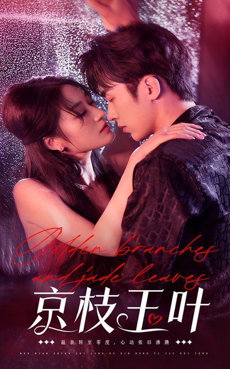 京枝玉叶第01-30集