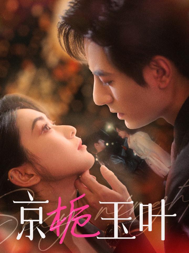 京栀玉叶第01-30集