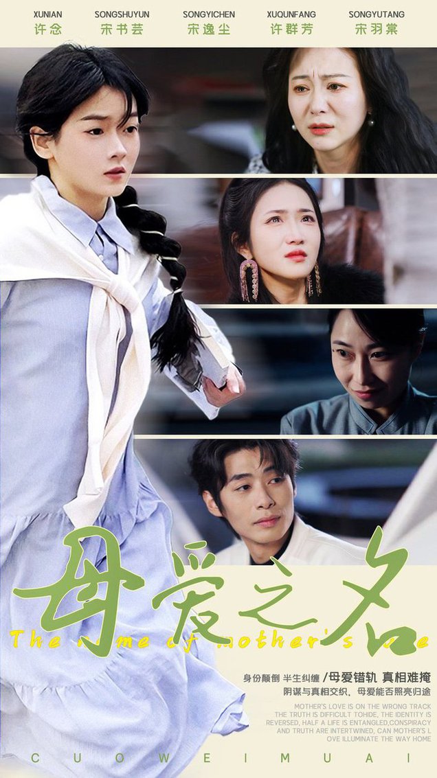 母爱之名第31-60集