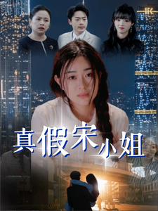 真假宋小姐第01-30集