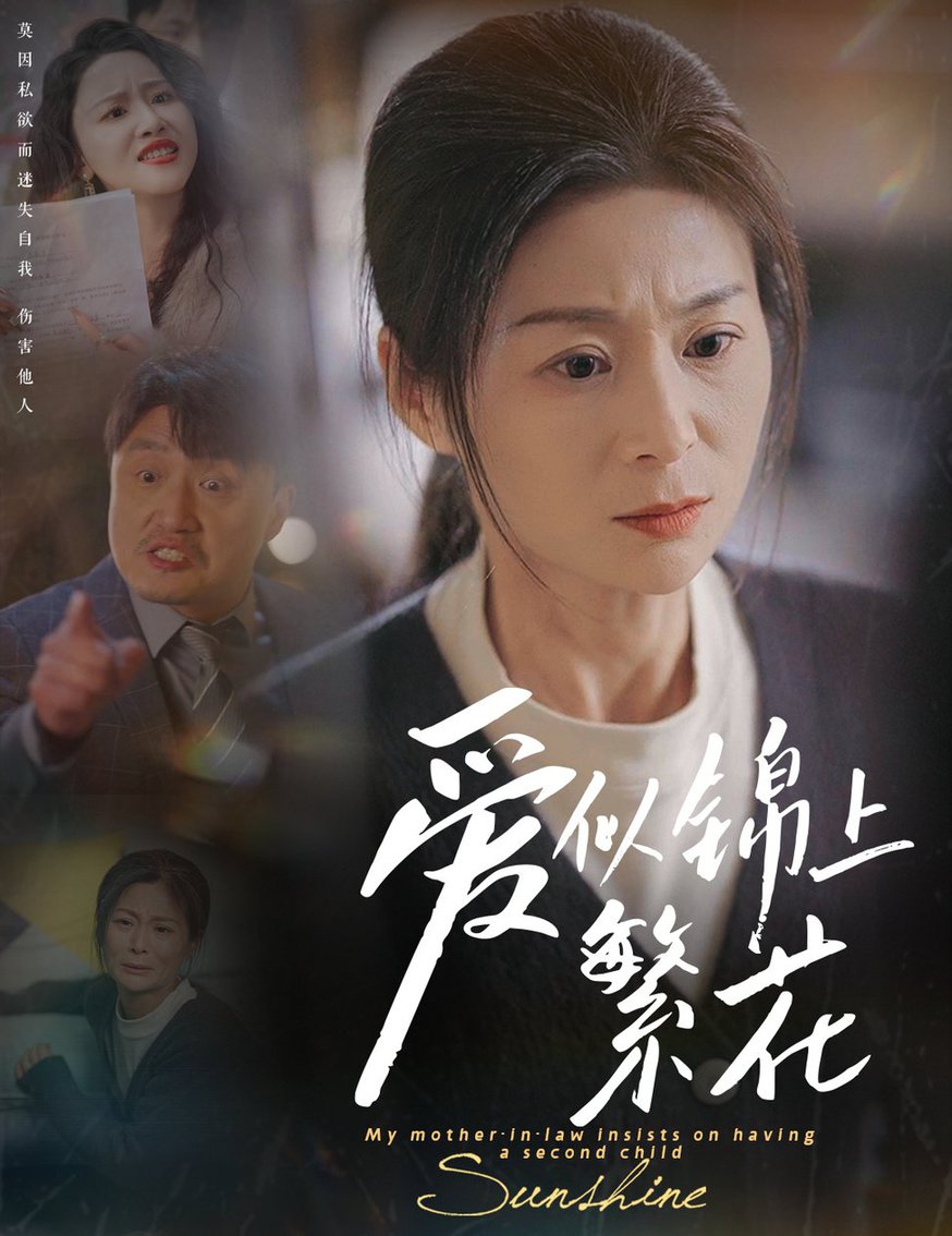 爱似锦上繁花第01-30集