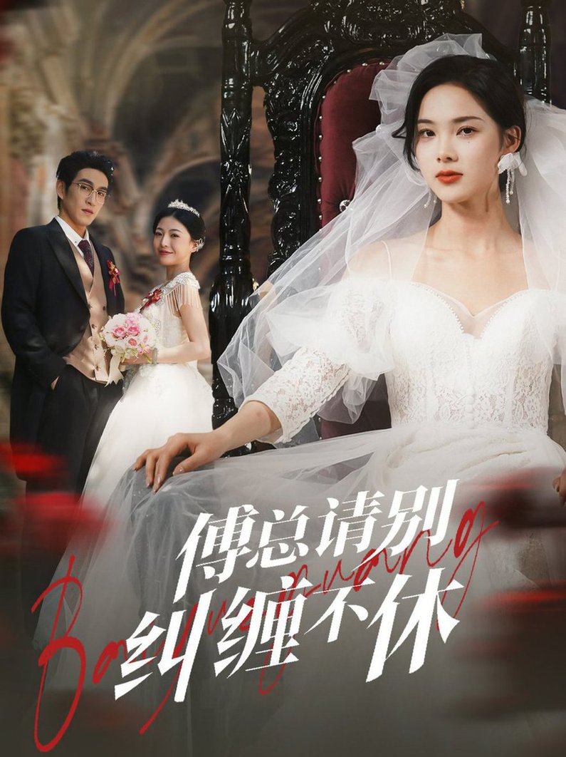 傅总请别纠缠不休第01-30集